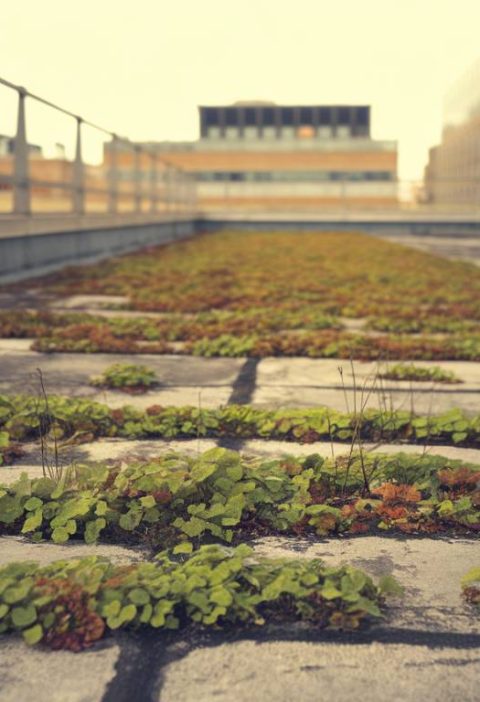 L’impact de la pollution urbaine sur la durabilité des toitures et les solutions préventives